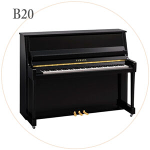 B20