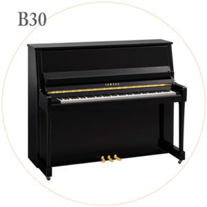 B30