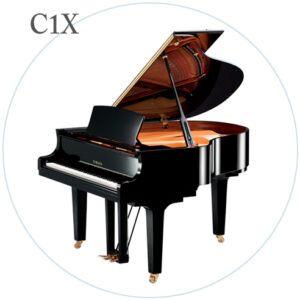 C1X