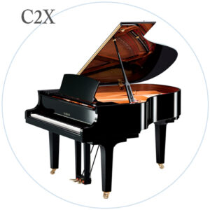C2X