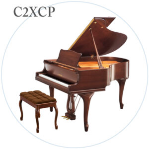 C2XCP