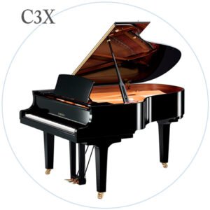 C3X