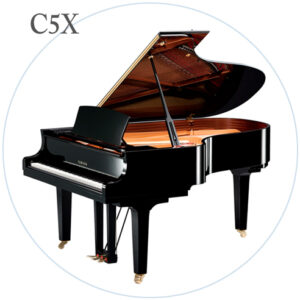 C5X