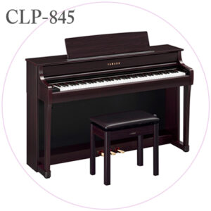 CLP-845