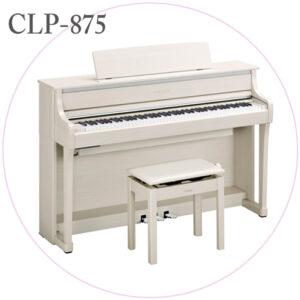 CLP-875