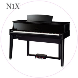 N1X